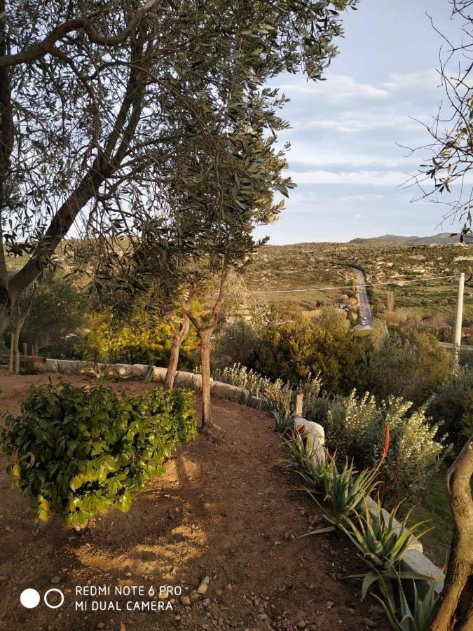 Monolocale Belvedere Su Porto Rotondo Cugnana Zewnętrze zdjęcie